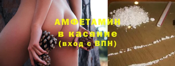 ешки Алексин